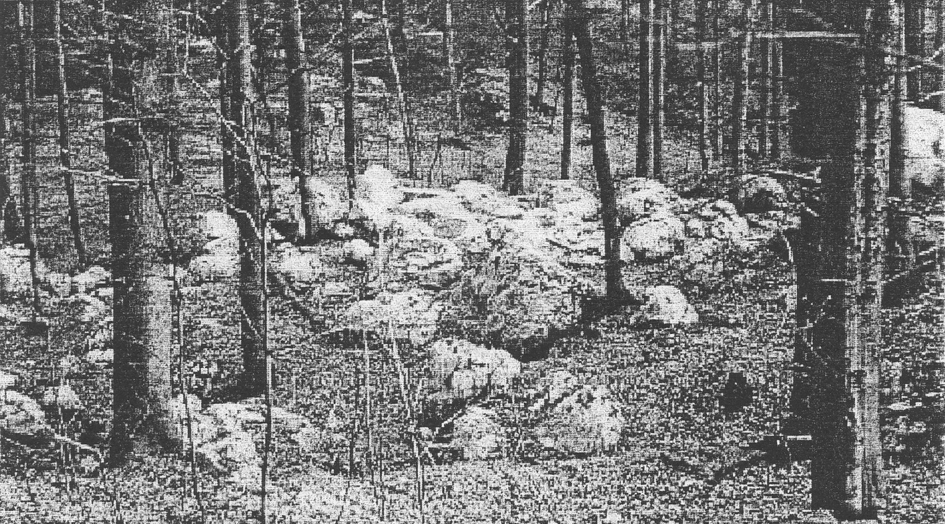 „Mönchsköpfe“ im Gips unter der Homburg